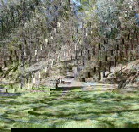 Wallaby Walking Track - St Kilda Accommodation