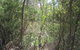Wangaratta Common Nature Conservation Reserve - thumb 0