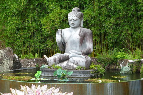 Crystal Castle Shuttle From Byron Bay (full Day) - St Kilda Accommodation 0