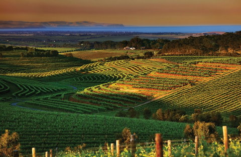 Mclaren Vale - St Kilda Accommodation 1