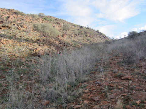 Sundown Nature Trail - St Kilda Accommodation 2