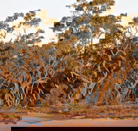 Yawura Yarun - St Kilda Accommodation