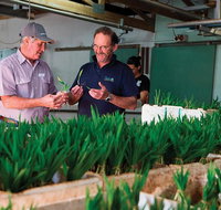 A Taste Of Norfolk - St Kilda Accommodation