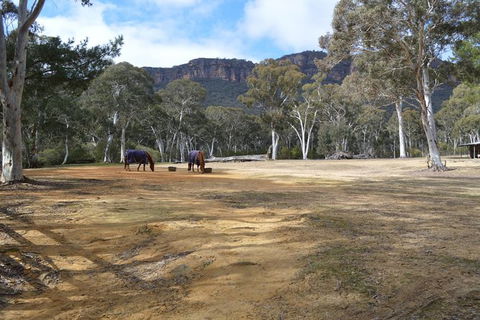 Six Foot Track - St Kilda Accommodation 1