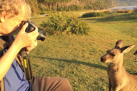 Highlights Of The Eurobodalla (half Day Private Tour) - St Kilda Accommodation 2