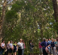 Breakfast Bushwalk Tour in Captain Cook's Monument - St Kilda Accommodation