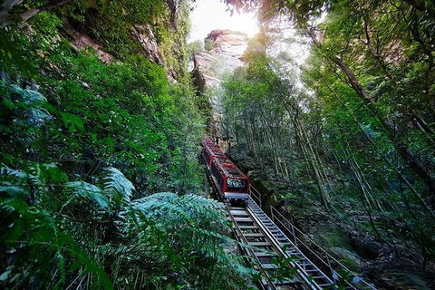 All-Inclusive Blue Mountains Tour In A Luxury Mercedes Sprinter - St Kilda Accommodation 8