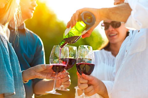 All-inclusive Morning Wine Tour In Orange - St Kilda Accommodation 4