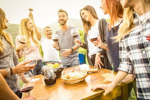 All-inclusive Morning Wine Tour In Orange - St Kilda Accommodation 6