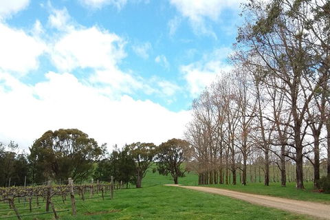 All-inclusive Morning Wine Tour In Orange - St Kilda Accommodation 8