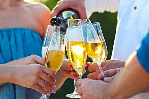 All-inclusive Morning Wine Tour In Orange - St Kilda Accommodation 9