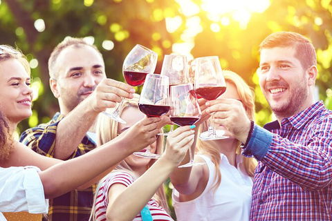 All-inclusive Morning Wine Tour In Orange - St Kilda Accommodation 2