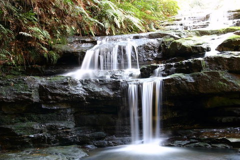 Private 10-hour Tour To Blue Mountains From Sydney - Hotel Pick Up & Drop Off - St Kilda Accommodation 6