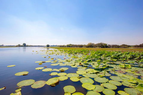 Jumping Crocs & Nature Adventure Cruise From Darwin - St Kilda Accommodation 8