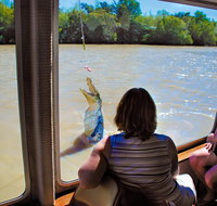 Jumping Crocs  Nature Adventure Cruise from Darwin - St Kilda Accommodation