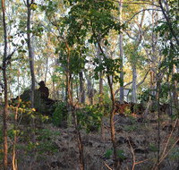 World War II Beyond Darwin - St Kilda Accommodation