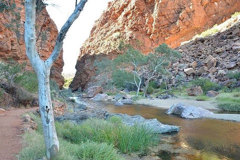 Alice Springs, Uluru Ayers Rock & Kings Canyon 8 Days Touring Package - St Kilda Accommodation 2