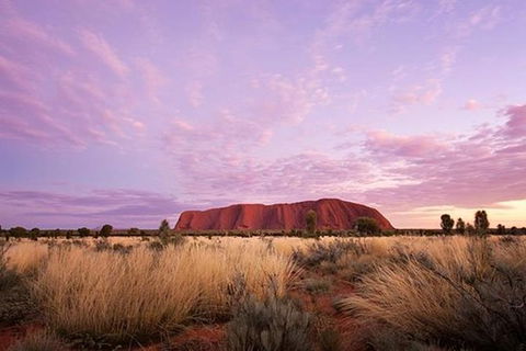Sunset Australian Barbecue Dinner In Uluru - St Kilda Accommodation 0