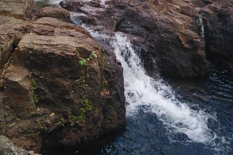 Full-Day Private Guided Tour To Litchfield National Park - St Kilda Accommodation 8