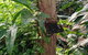 Full-Day Private Guided Tour To Litchfield National Park - thumb 1