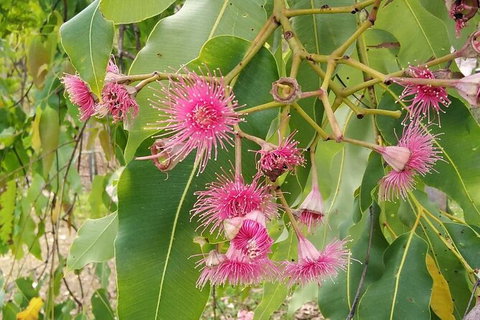 Full-Day Private Guided Tour To Litchfield National Park - St Kilda Accommodation 5