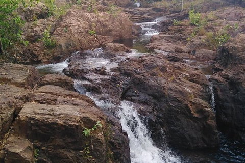 Full-Day Private Guided Tour To Litchfield National Park - St Kilda Accommodation 15