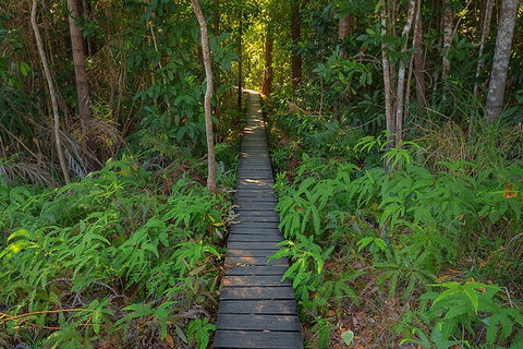 Full-Day Private Guided Tour To Litchfield National Park - St Kilda Accommodation 7