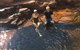 Full-Day Private Guided Tour To Litchfield National Park - thumb 22