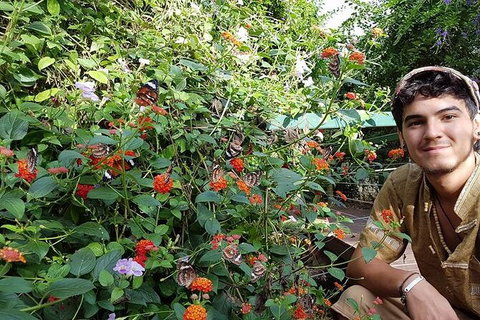 Full-Day Private Guided Tour To Litchfield National Park - St Kilda Accommodation 17