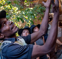 Arnhem Land Injalak Hill Full-Day Tour from Darwin - St Kilda Accommodation