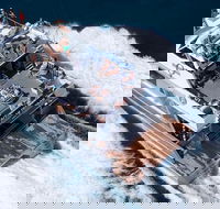 Great Barrier Reef Luxury Snorkel and Dive Cruise from Cairns - St Kilda Accommodation