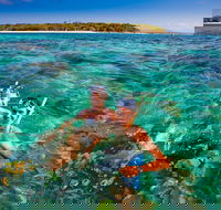 Green Island Day Trip from Cairns - St Kilda Accommodation