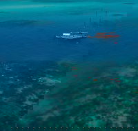 Green Island  Great Barrier Reef Sailing Cruise from Cairns - only 25 guests - St Kilda Accommodation