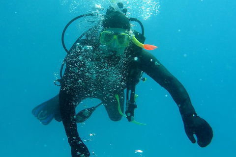 Seastar Luxury Outer Great Barrier Reef Island And Reef Tour From Cairns - St Kilda Accommodation 1