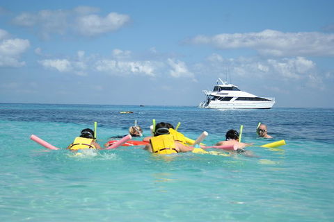 Seastar Luxury Outer Great Barrier Reef Island And Reef Tour From Cairns - St Kilda Accommodation 2