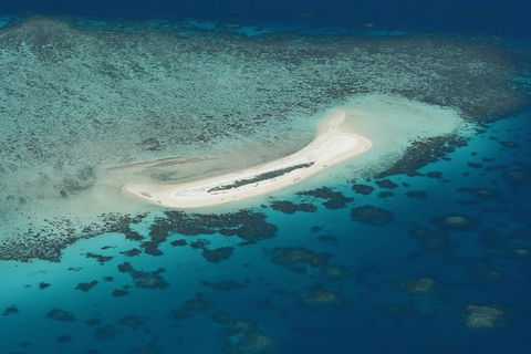 Seastar Luxury Outer Great Barrier Reef Island And Reef Tour From Cairns - St Kilda Accommodation 5