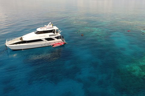 Seastar Luxury Outer Great Barrier Reef Island And Reef Tour From Cairns - St Kilda Accommodation 4