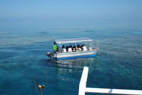 Seastar Luxury Outer Great Barrier Reef Island And Reef Tour From Cairns - St Kilda Accommodation 3