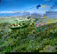 Best of Kuranda Including Skyrail Kuranda Scenic Railway and Rainforestation - St Kilda Accommodation