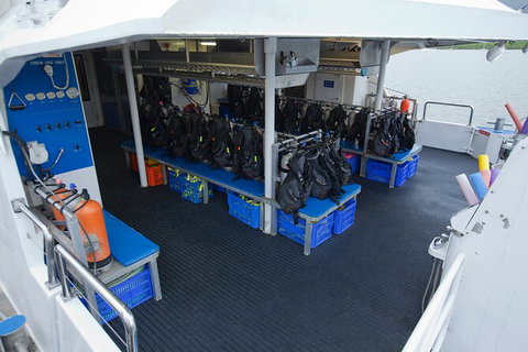 Silverswift Outer Great Barrier Reef Dive And Snorkel Cruise From Cairns - St Kilda Accommodation 5