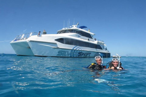 Silverswift Outer Great Barrier Reef Dive And Snorkel Cruise From Cairns - St Kilda Accommodation 0
