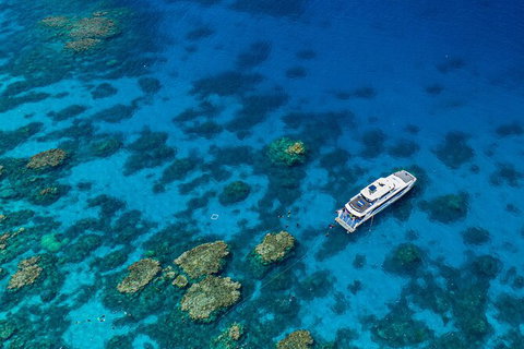 Silverswift Outer Great Barrier Reef Dive And Snorkel Cruise From Cairns - St Kilda Accommodation 2