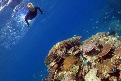 Silverswift Outer Great Barrier Reef Dive And Snorkel Cruise From Cairns - St Kilda Accommodation 7