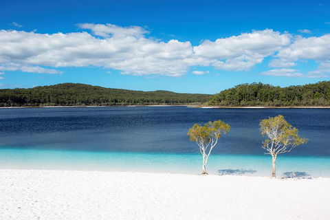 All-Inclusive Fraser Island Day Tour - St Kilda Accommodation 2