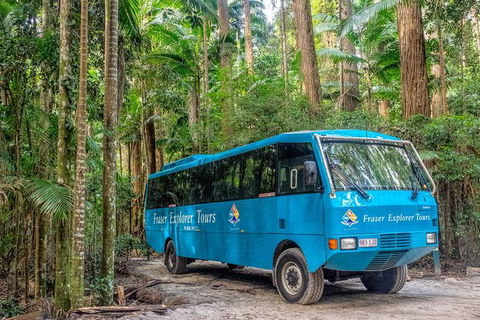All-Inclusive Fraser Island Day Tour - St Kilda Accommodation 0