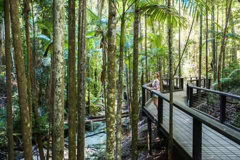 All-Inclusive Fraser Island Day Tour - St Kilda Accommodation 7