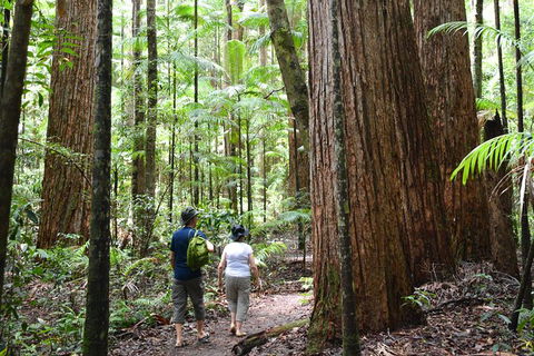 All-Inclusive Fraser Island Day Tour - St Kilda Accommodation 6