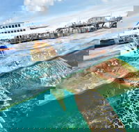 Outer Reef Pontoon Experience from Cairns - St Kilda Accommodation