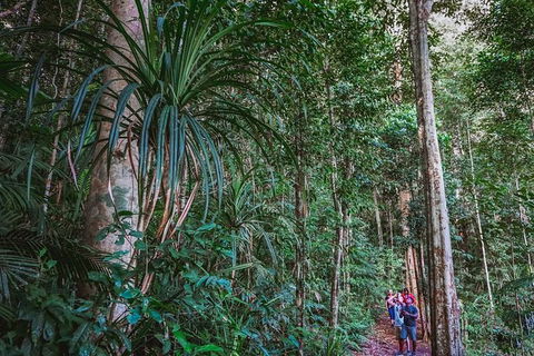 Atherton Tablelands Rain Forest By Night From Cairns - St Kilda Accommodation 0