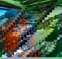 Skyrail Rainforest Cableway Day Trip from Cairns - St Kilda Accommodation